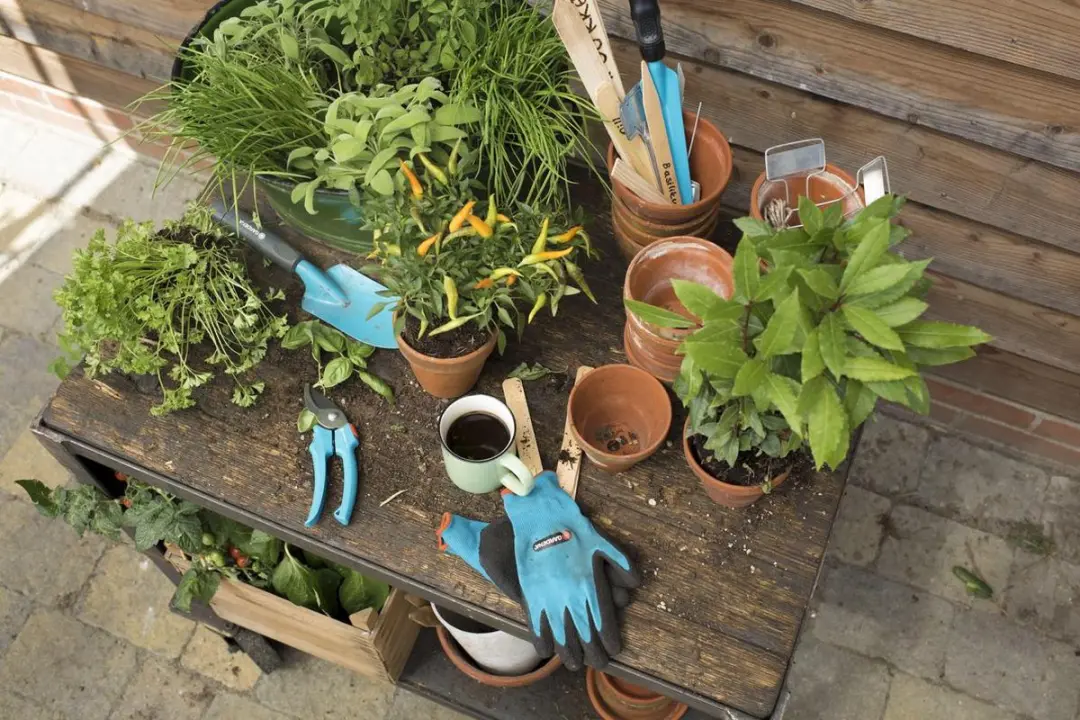 Gardena City Gardening Onkruidsteker