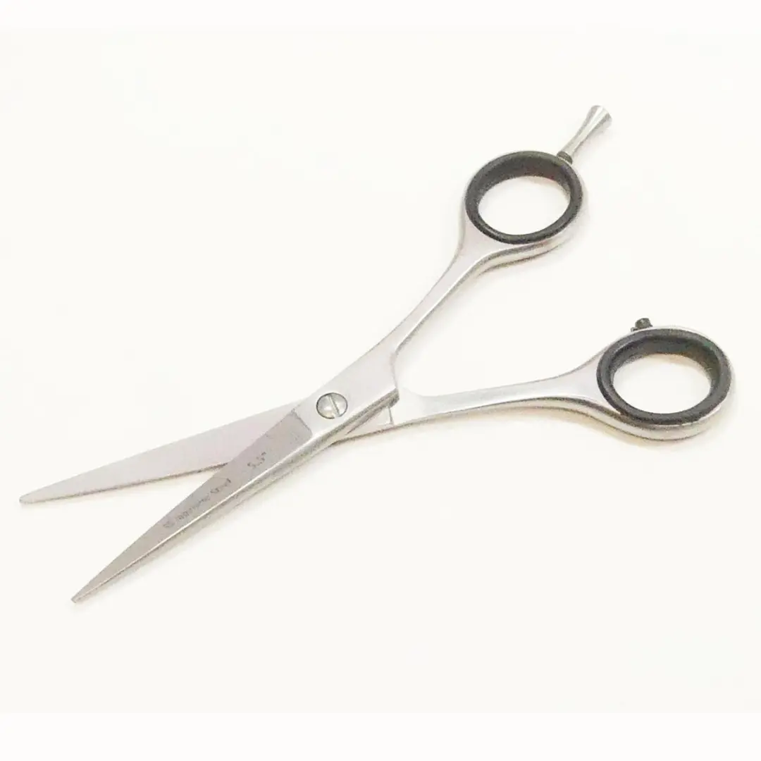 Guardian Beauty Scharenset 5,5 Inch - 2 Stuks - Roestvrij Staal