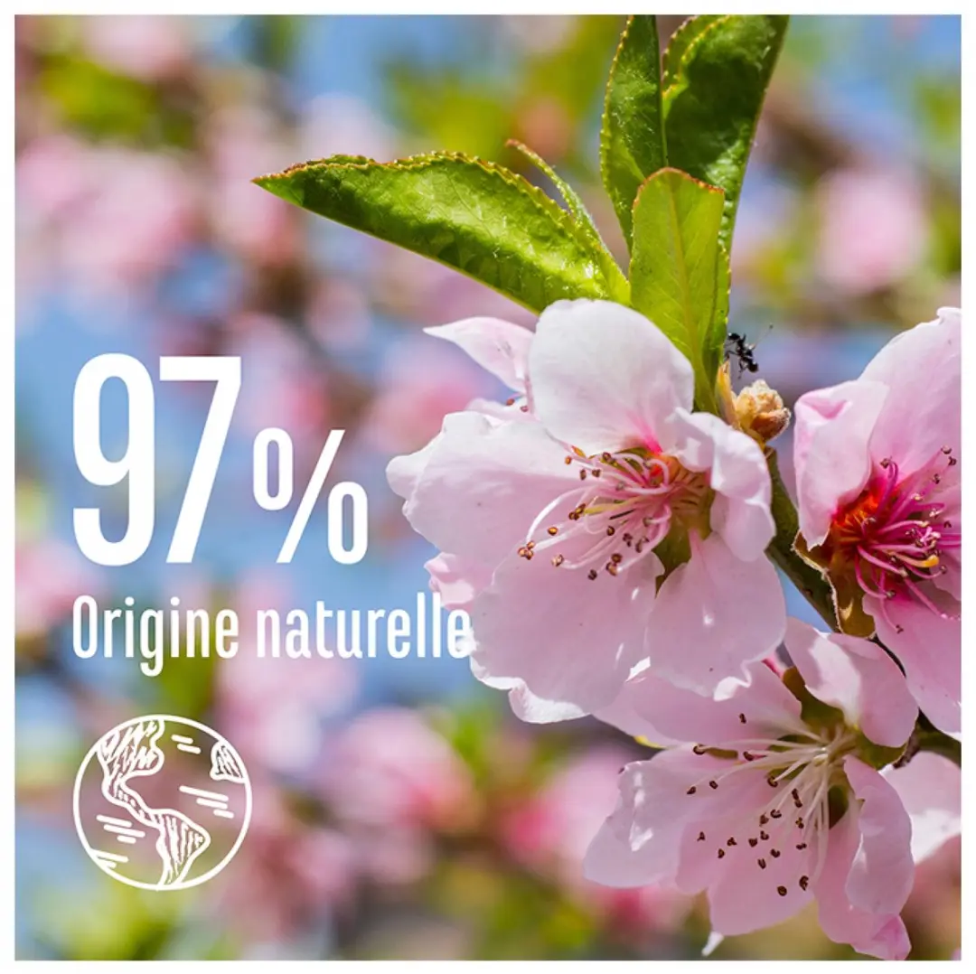 Le Petit Marseillais Zoete Amandel Lijnzaad Shampoo 300ml