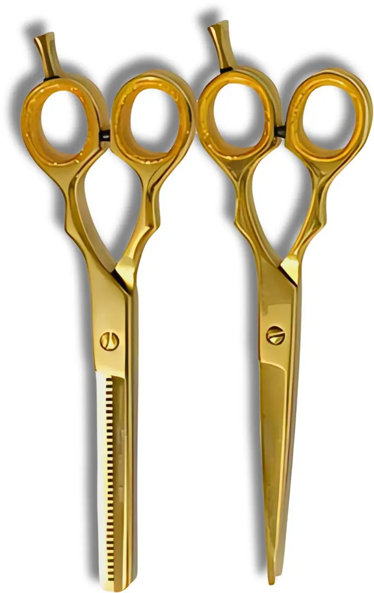 Guardian Beauty Scharenset 7 Inch