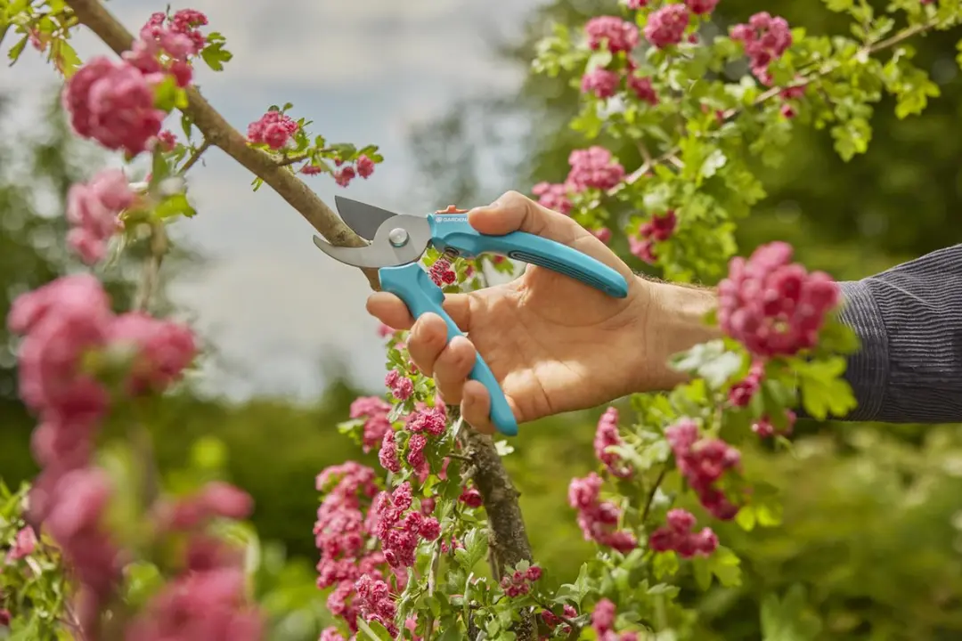 Gardena EasyCut Snoeischaar - 20mm - afbeelding 6 van 6