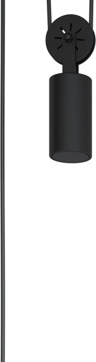 Eglo Winkworth Hanglamp E27 117cm - Zwart