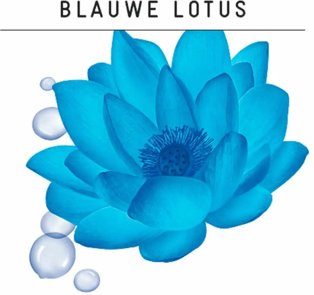 Guhl Föhn-Active Styling Spray Langdurig Volume 20 Stuks