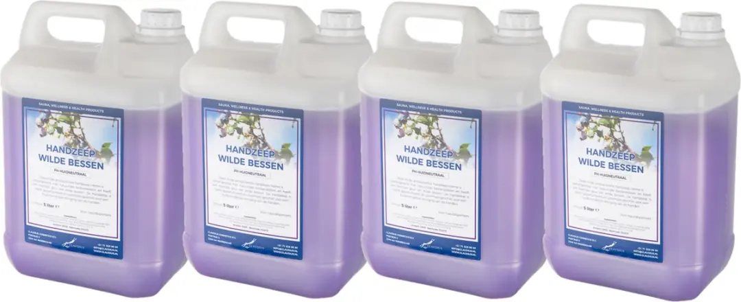 Splashbox Cosmetics Handzeep Wilde Bessen 5L