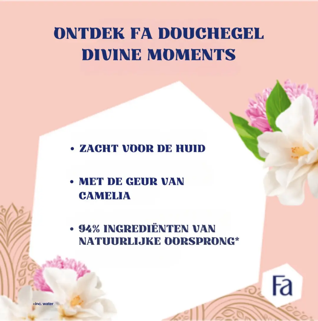 Fa Divine Moments Douchegel 250ml - 6 Stuks