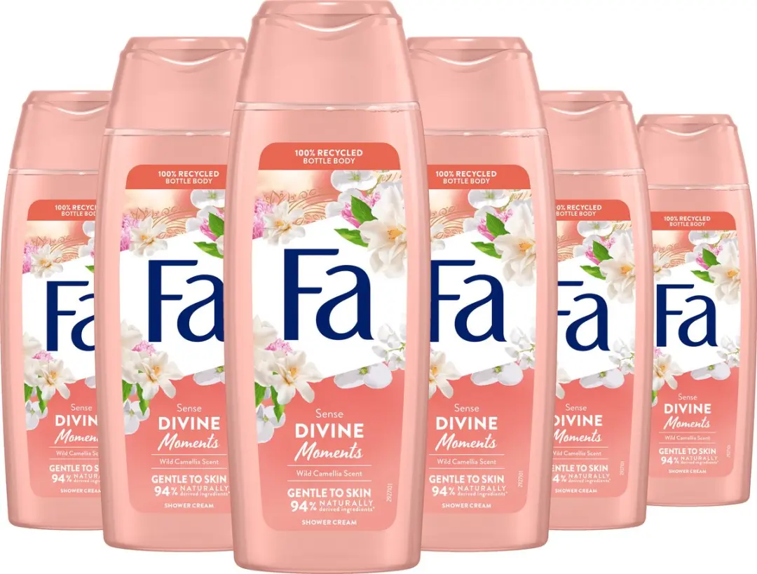 Fa Divine Moments Douchegel 250ml - 6 Stuks