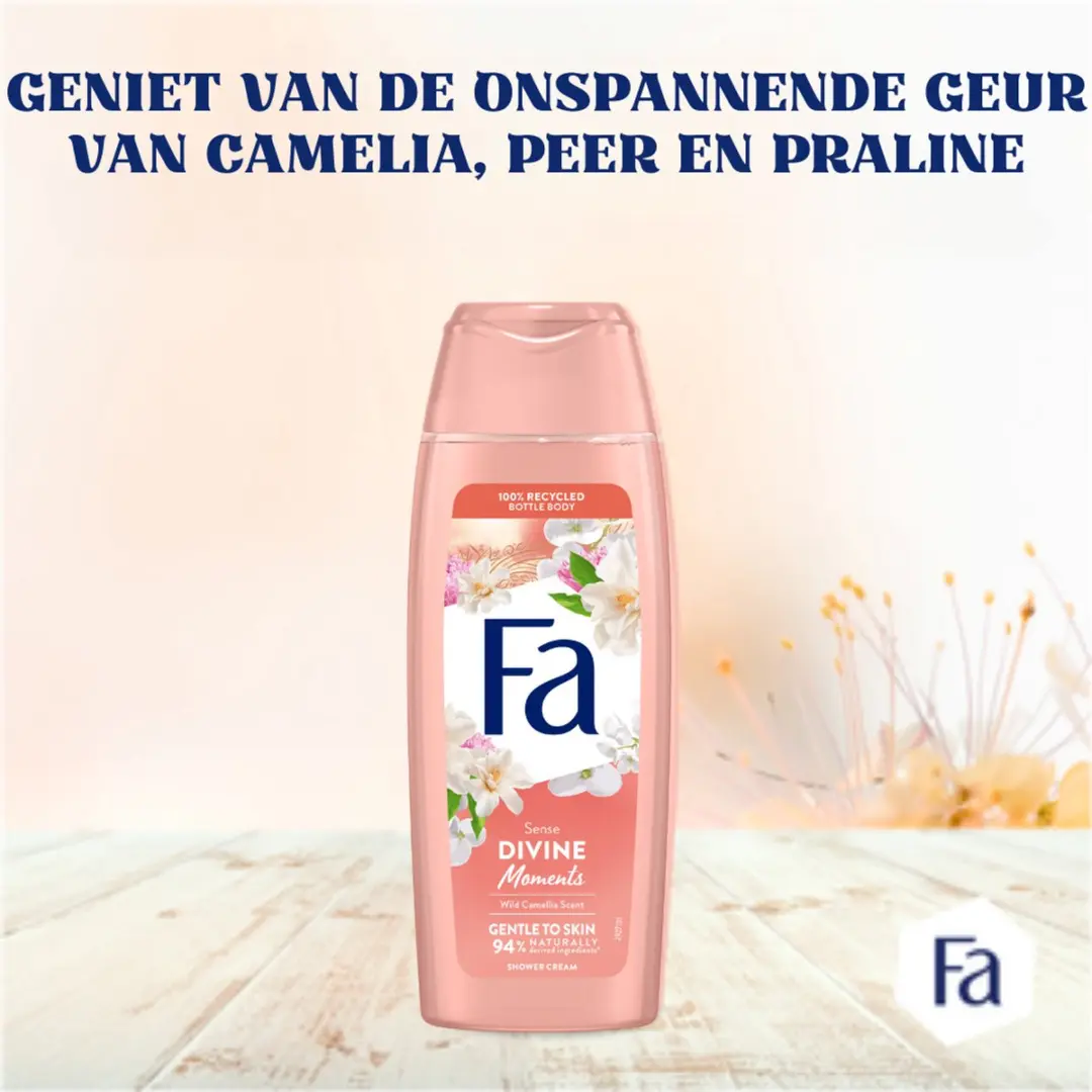 Fa Divine Moments Douchegel 250ml - 6 Stuks