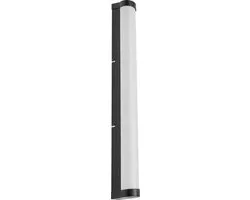 LEDVANCE ORBIS Buisspiegel Wandlamp 12W 1100lm - Mat Glas - Zwart