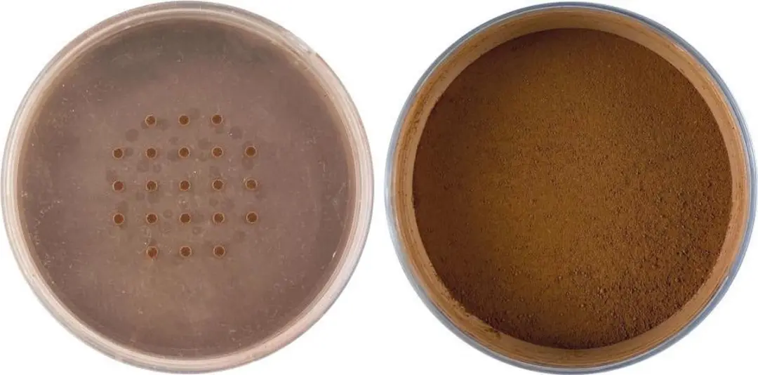 Technic Mineral Powder Foundation Chestnut - 10g