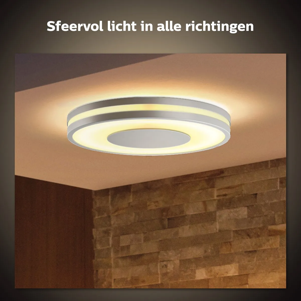 Philips Hue Being Plafondlamp - Aluminium - 2 Lichtpunten
