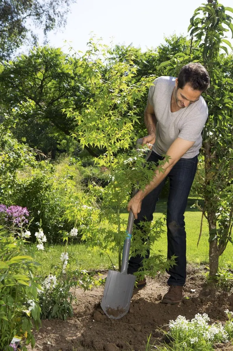 Gardena NatureLine Puntspade FSC 100%