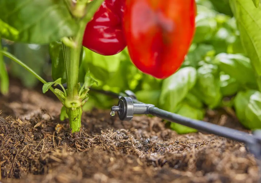 Gardena AquaBloom L Set Zonne-energie Bevloeiingsset - afbeelding 6 van 6