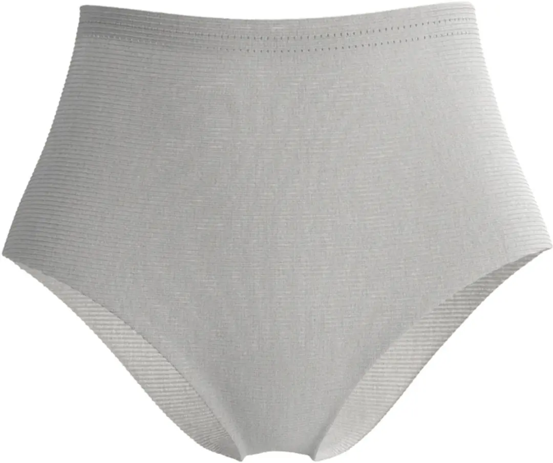 Lansinoh Postpartum Netbroekje - 4 Stuks