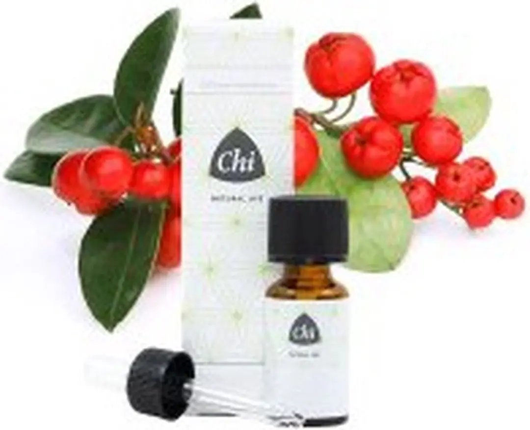 Chi Natural Life Wintergreen Wild Etherische Olie 10ml