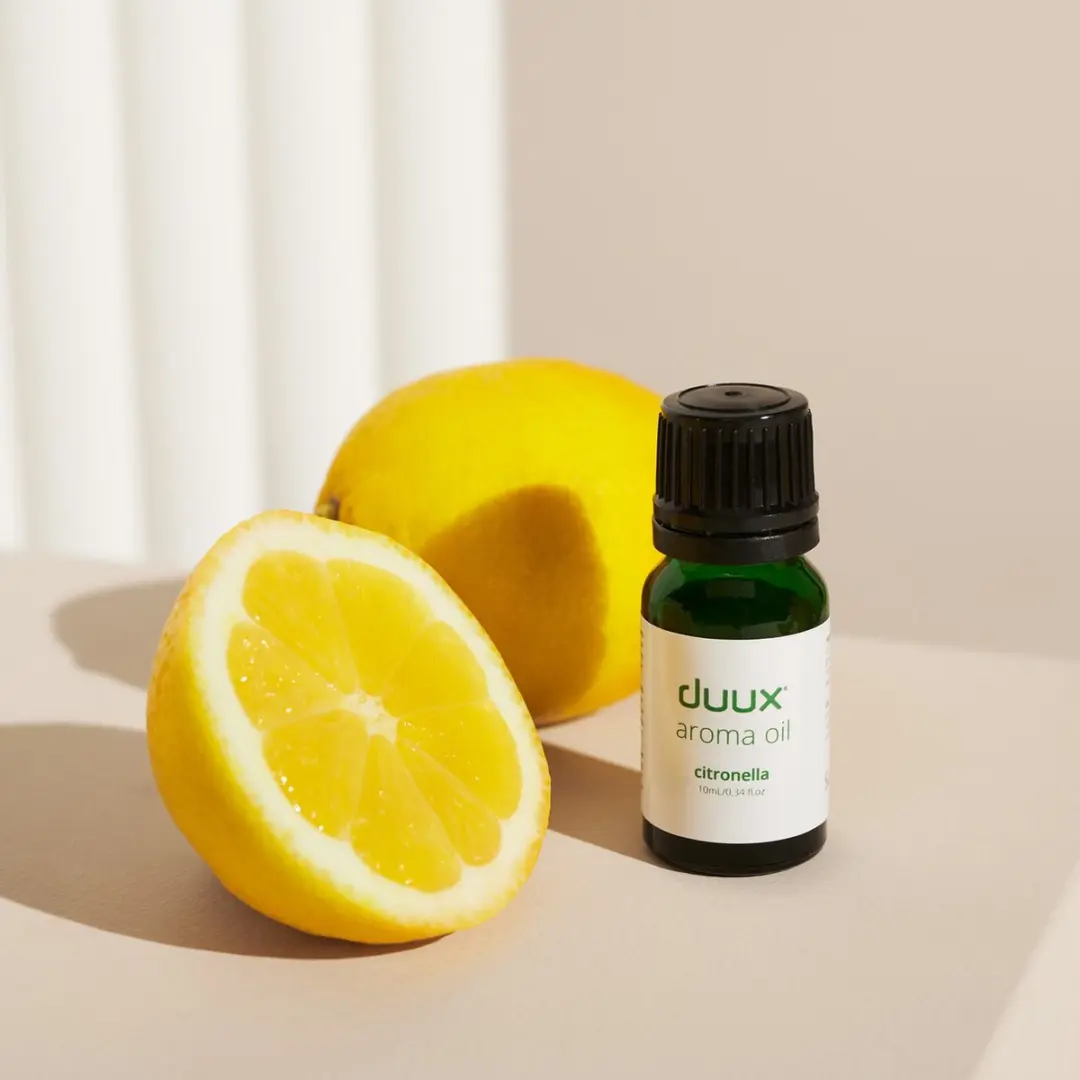 Duux Aromatherapie Citronella Olie 10ml - Waterbasis