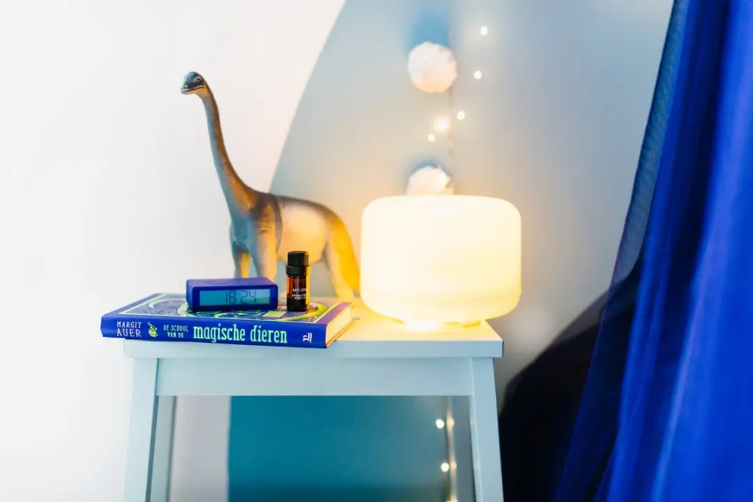 RainPharma Aroma Diffuser 500ml - Zwart