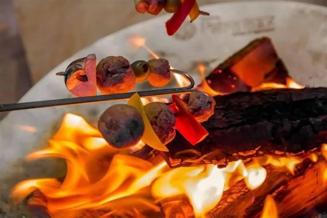 Petromax Campfire Skewer LS2 - Gebogen spiezen - Zwart