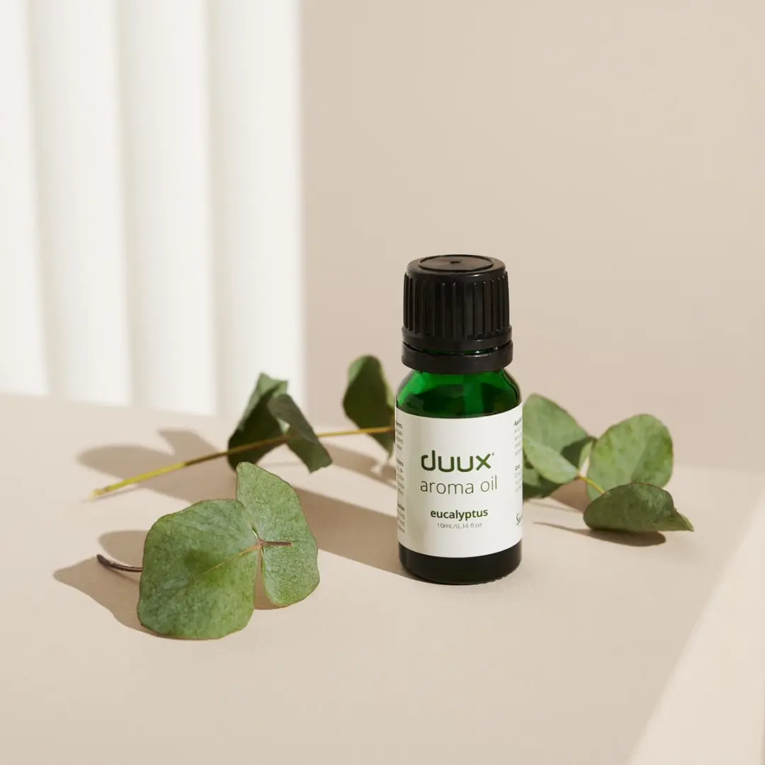 Duux Aromatherapie Eucalyptus Essentiële Olie 10ml