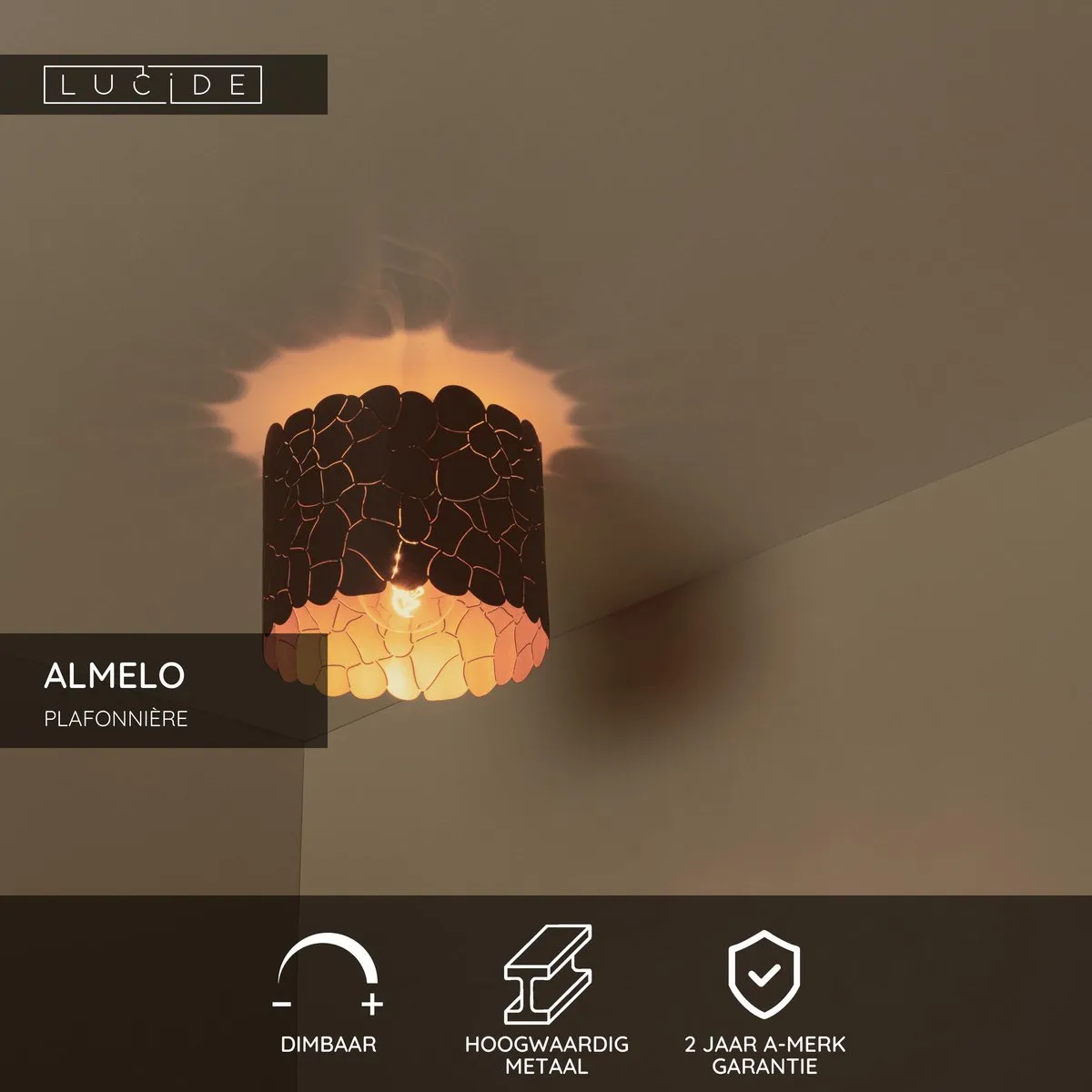 Lucide Almelo Plafondlamp Ø25,5cm - 1xE27 - Zwart
