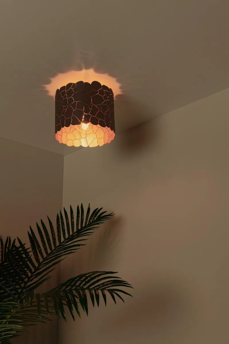 Lucide Almelo Plafondlamp Ø25,5cm - 1xE27 - Zwart