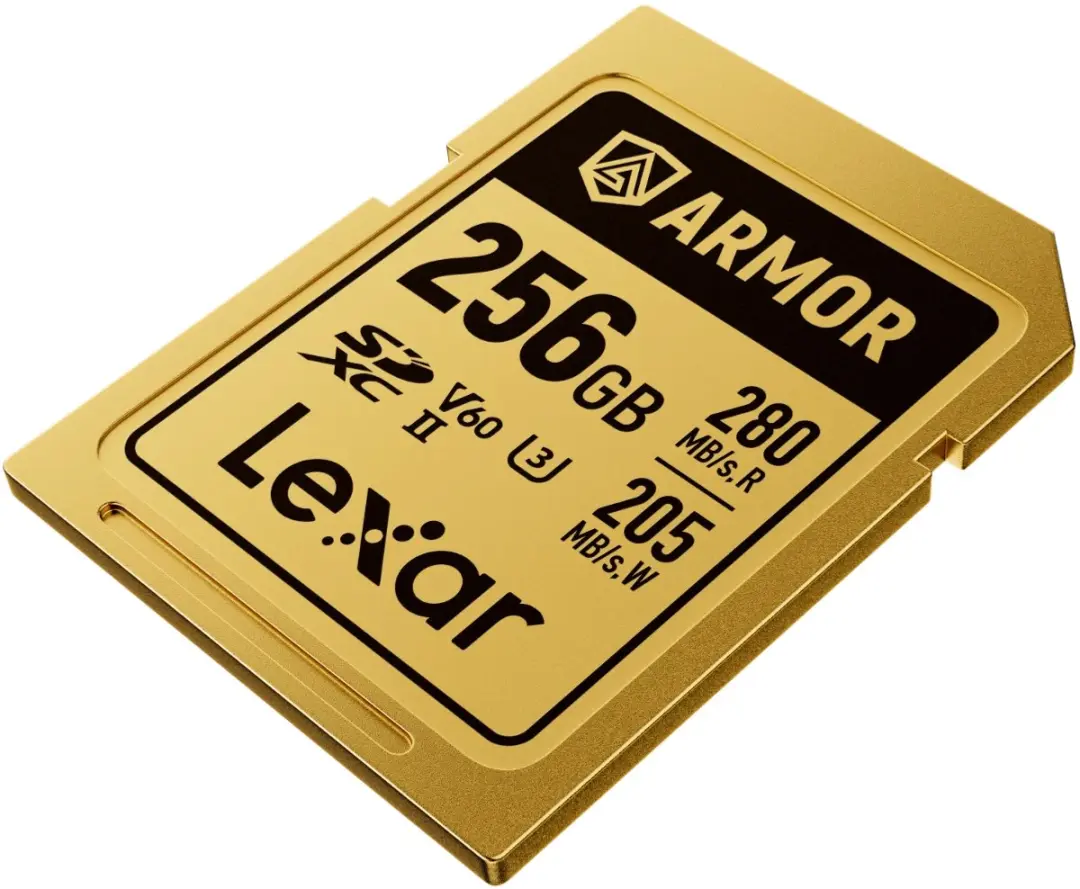 Lexar SDXC Pro Gold Series ARMOR UHS-II 256GB - V60