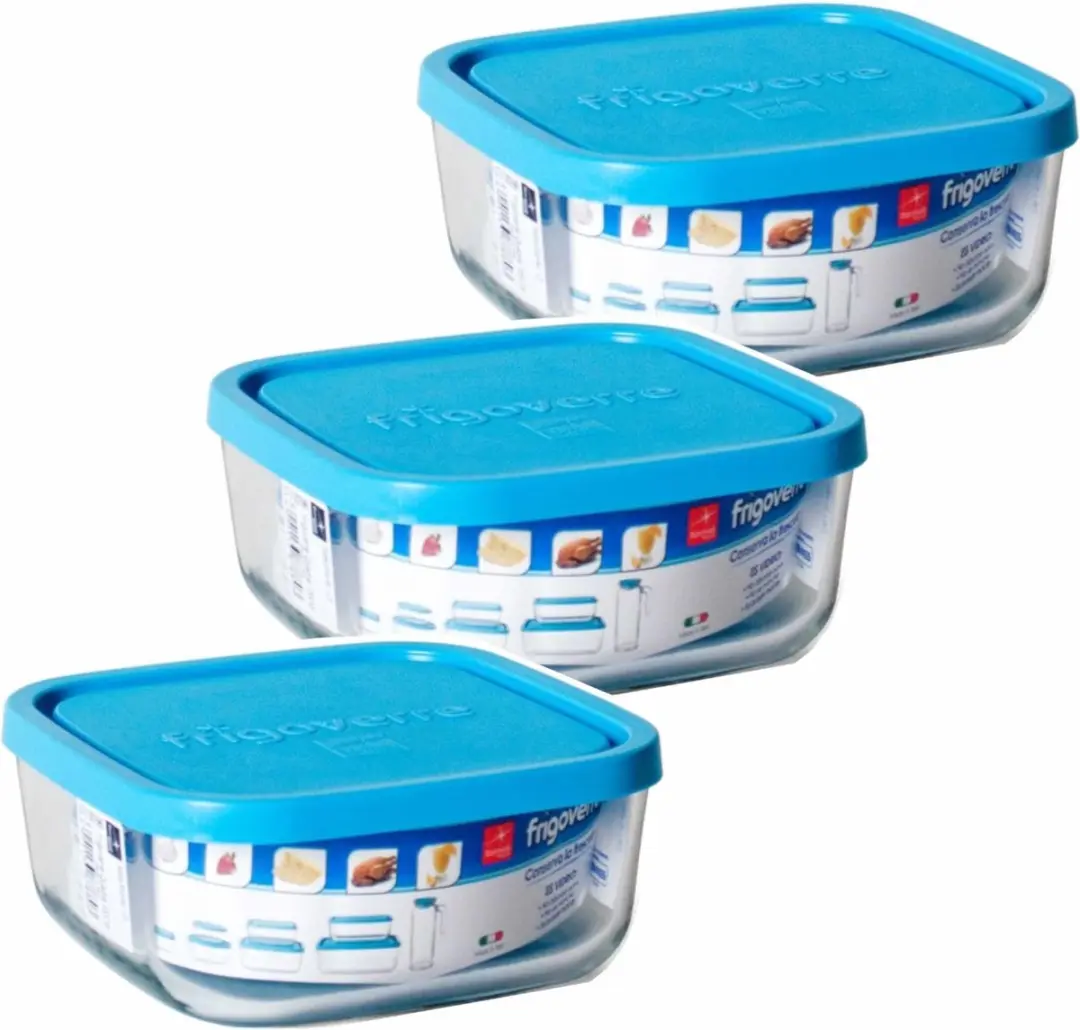Bormioli Rocco Vigo Bewaarbakjes - 2 Stuks - 300ml - Glas