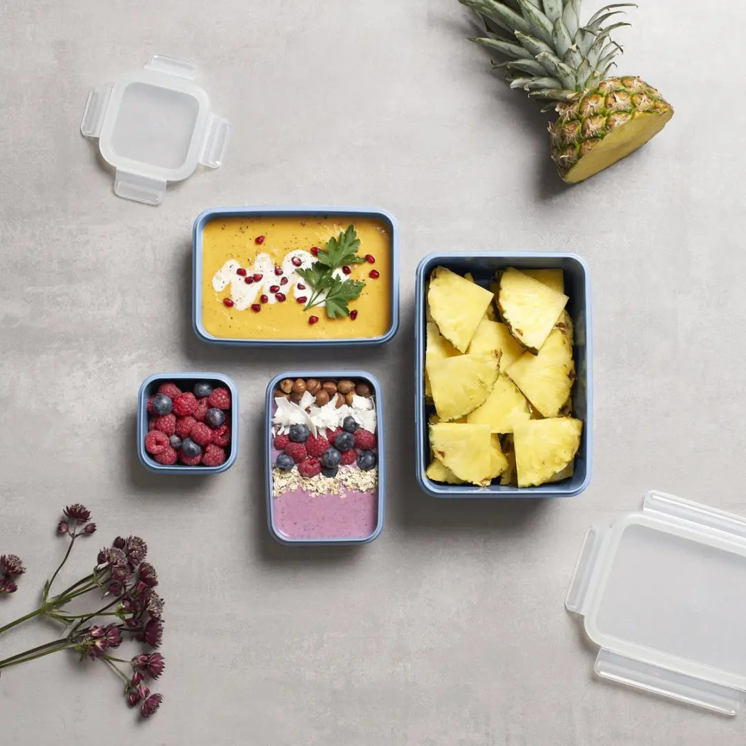 Tefal MasterSeal Colour Vershouddozen 4-delig - Blauw