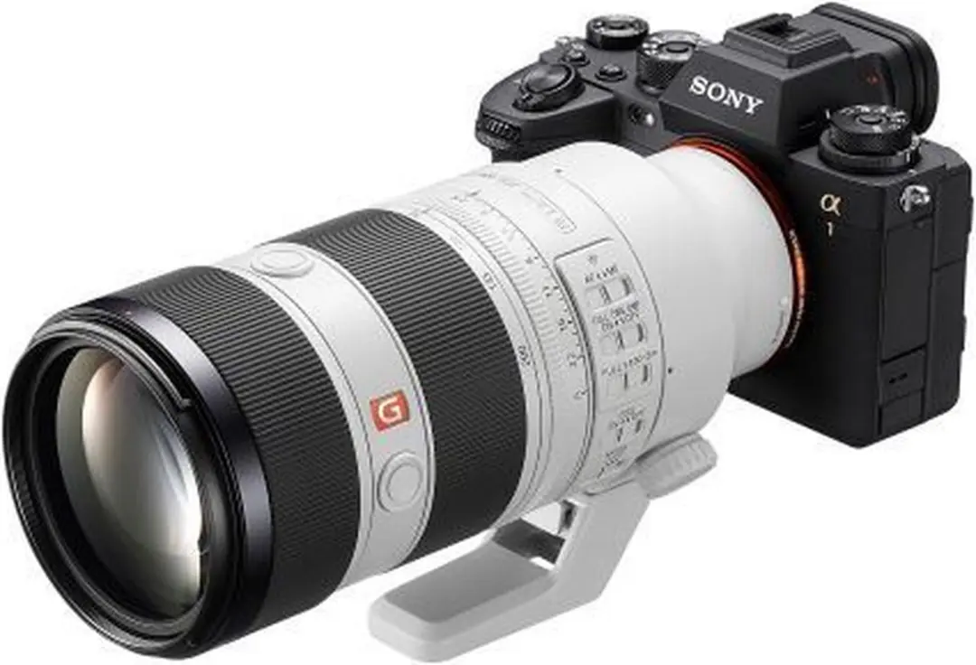 Sony FE 70-200mm f/2.8 GM OSS II - 77mm
