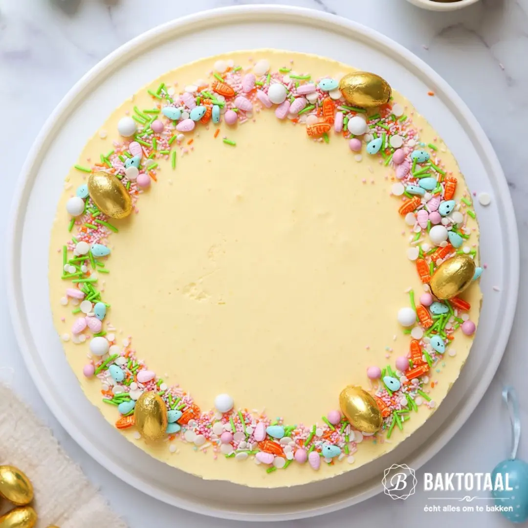 Patisse Springvorm 24cm - Antraciet