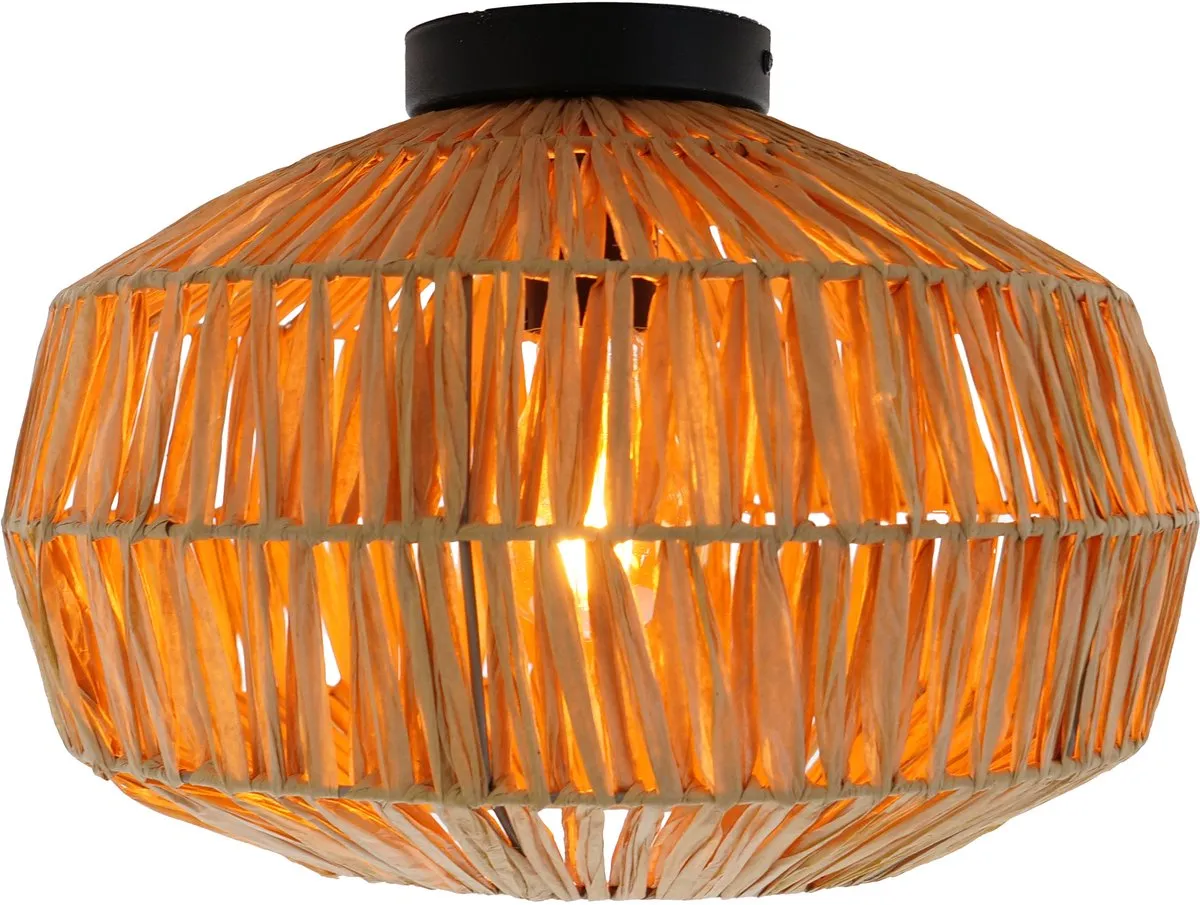 Eglo Sheldon Plafondlamp E27