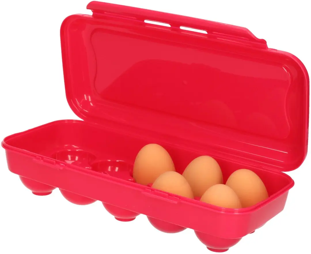 Excellent Houseware Eierdoos 10-stuks