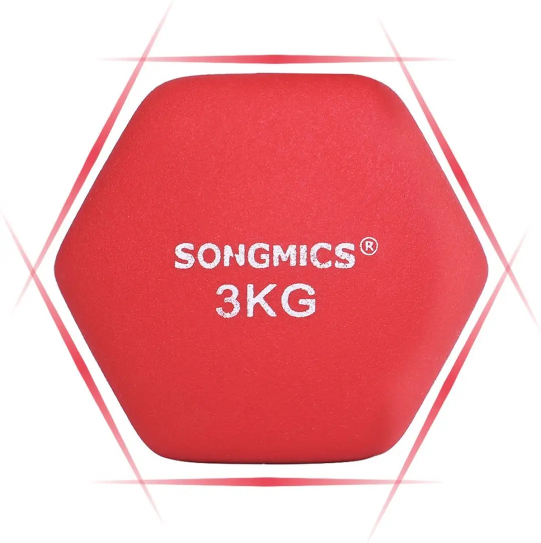 Songmics Dumbbells 3 kg
