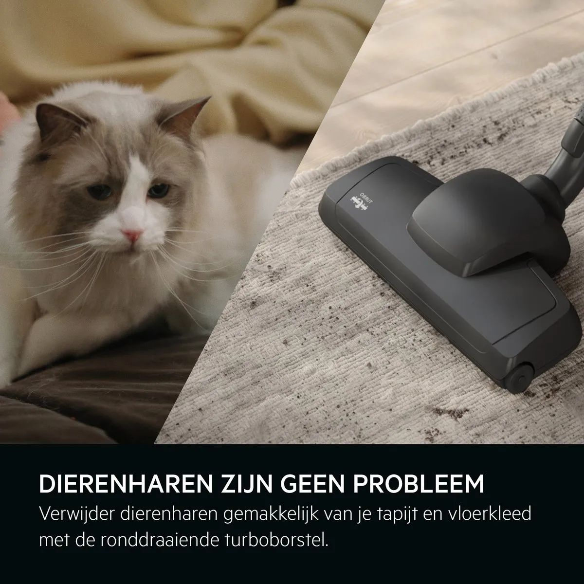 AEG AB61A4DB Animal 6000 Stofzuiger - 650W - 3,5L - Denim Blue
