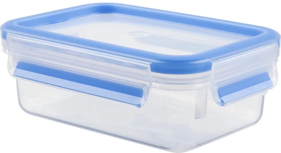 Tefal MasterSeal Fresh Vershouddoos 1L