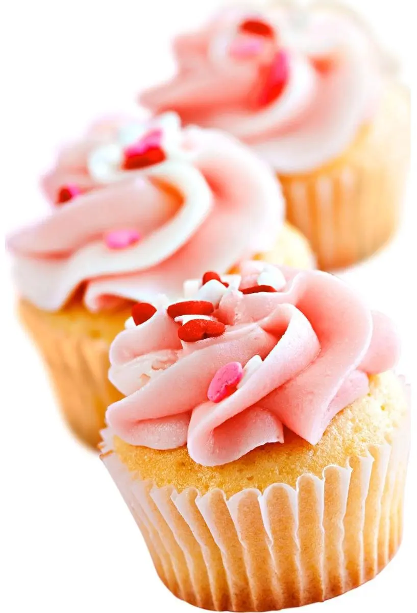 Zenker Smart Pastry Mini Muffinvormpjes 3cm - 480 Stuks