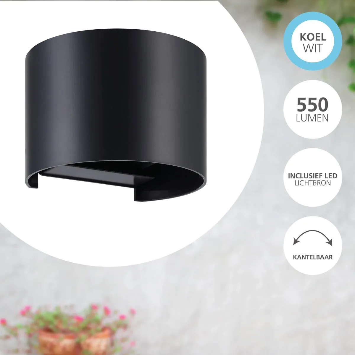 Eglo Barcarola-E Wandlamp Buiten LED 13cm - Zwart/Transparant