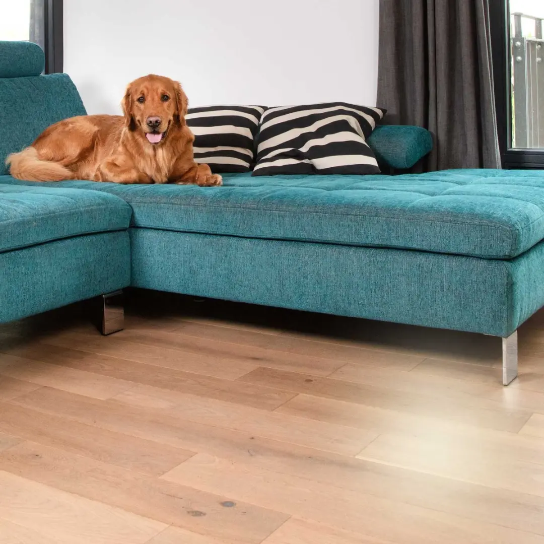 Vileda PetPro Always Clean Bezem - Rood