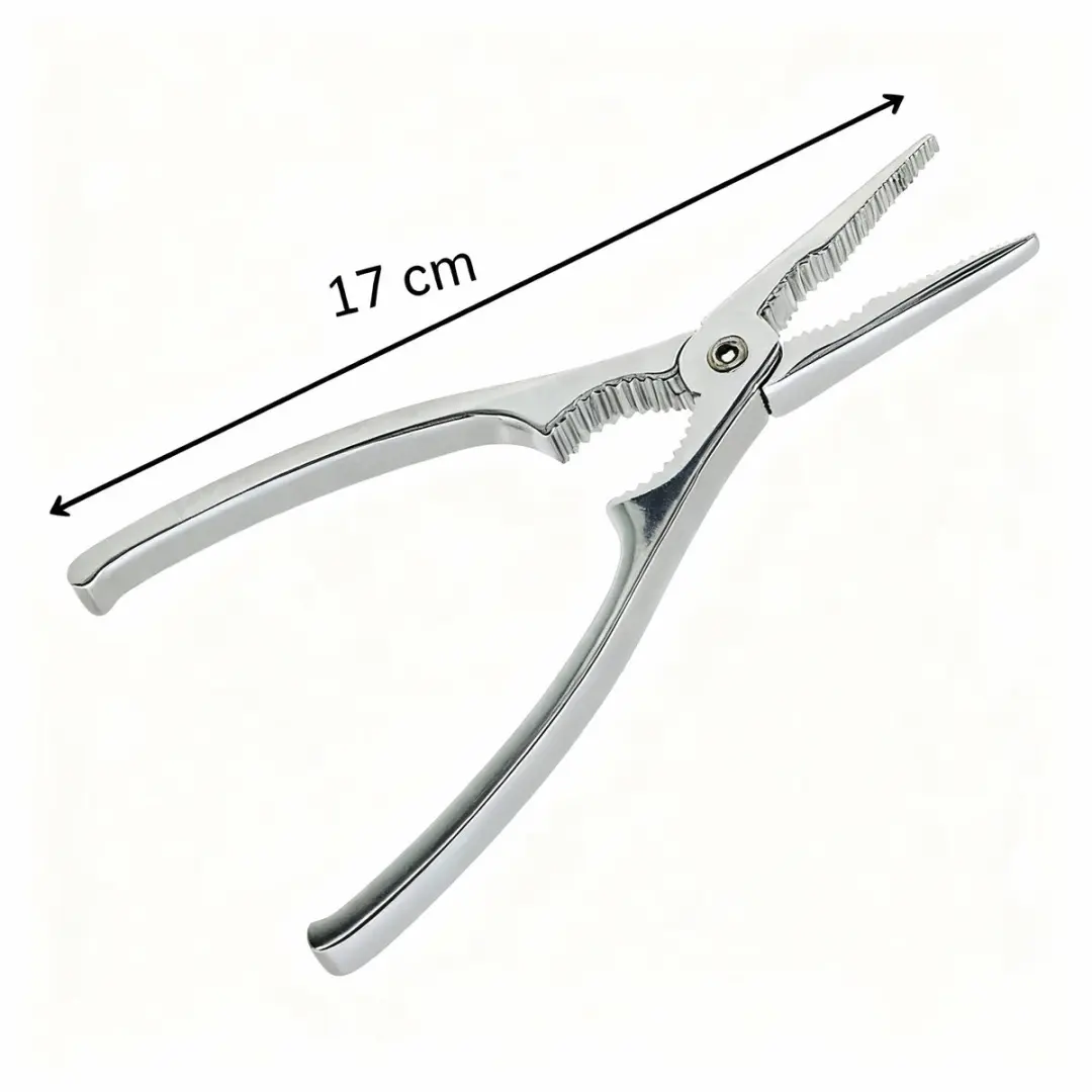 Fackelmann Kreeft- en Schaaldierentang 17cm - Roestvrij staal