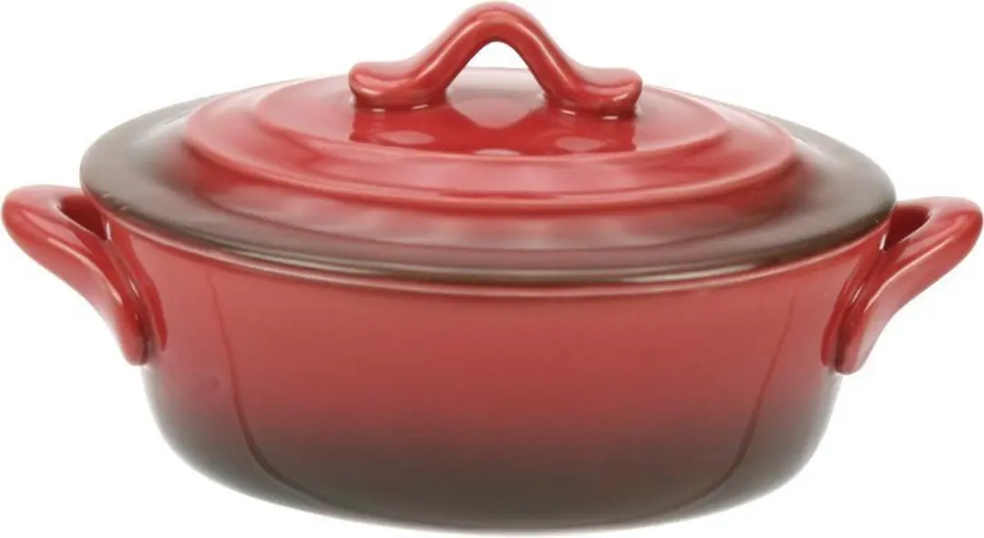 Cosy&Trendy Red Ovenschotel 250ml
