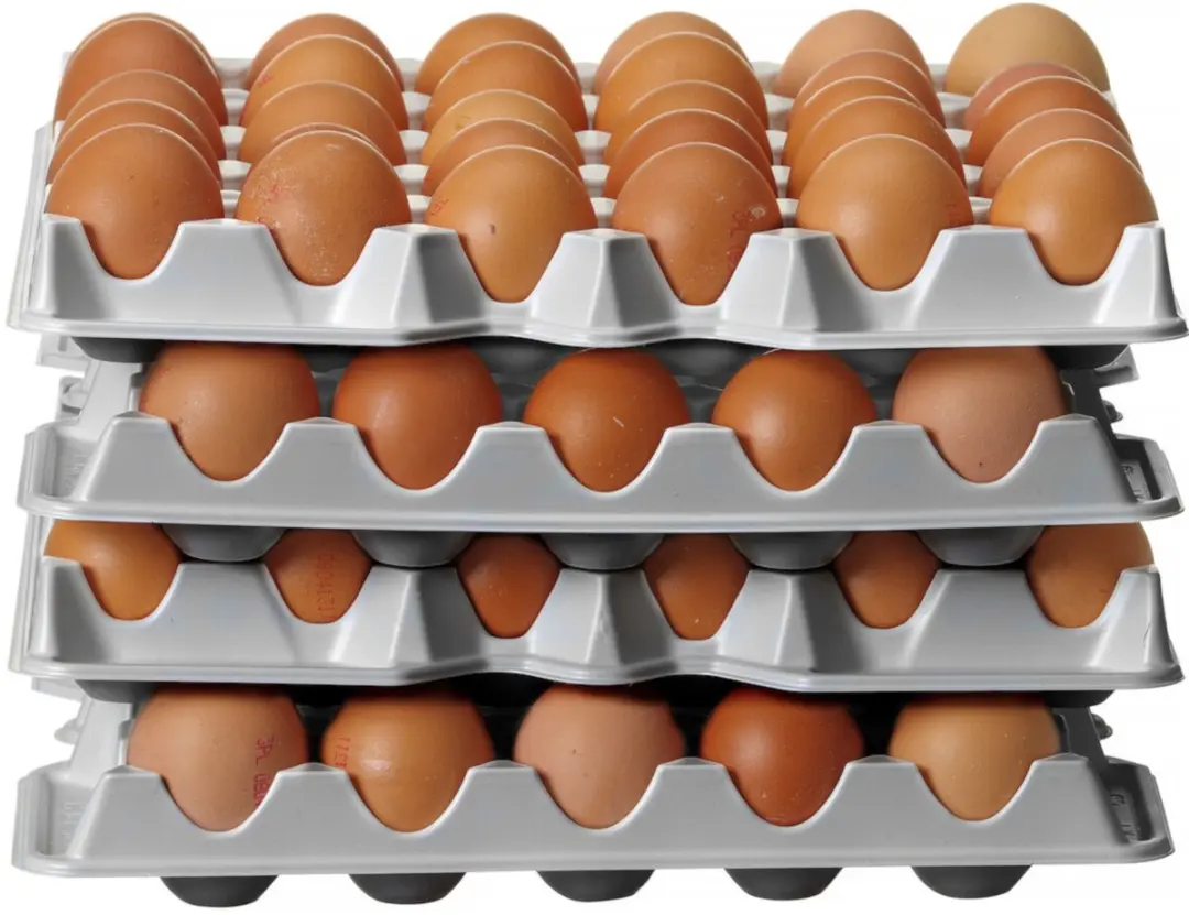 HENDI 870792 Set Eierbakken 120 Stuks - 4-delig Wit
