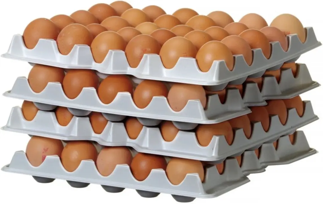 HENDI 870792 Set Eierbakken 120 Stuks - 4-delig Wit