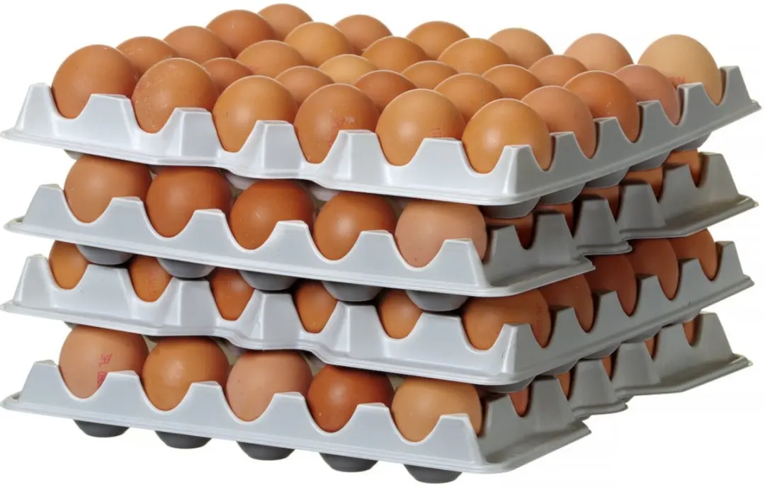 HENDI 870792 Set Eierbakken 120 Stuks - 4-delig Wit - afbeelding 6 van 6