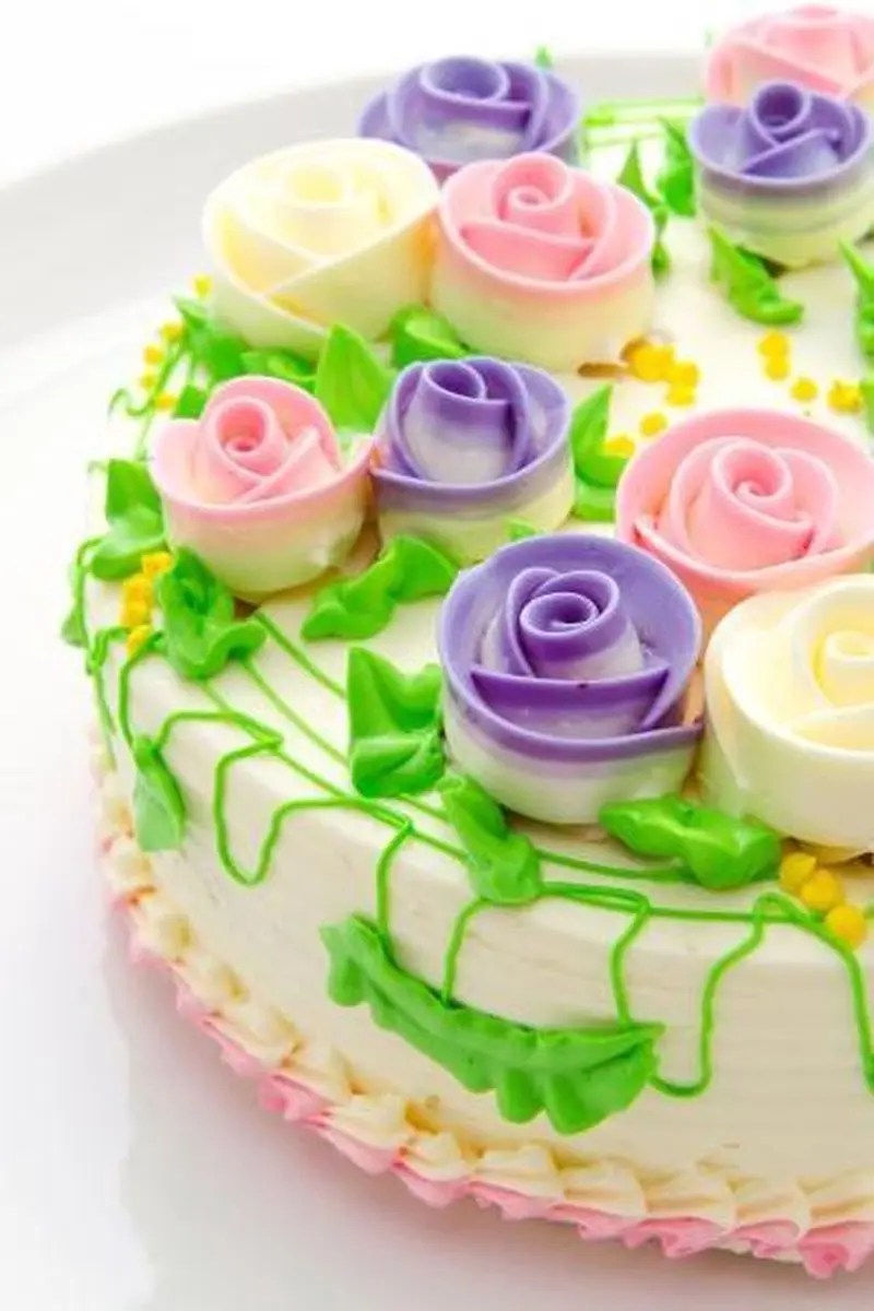 Patisse Springvorm Vierkant 24x24cm - Staal