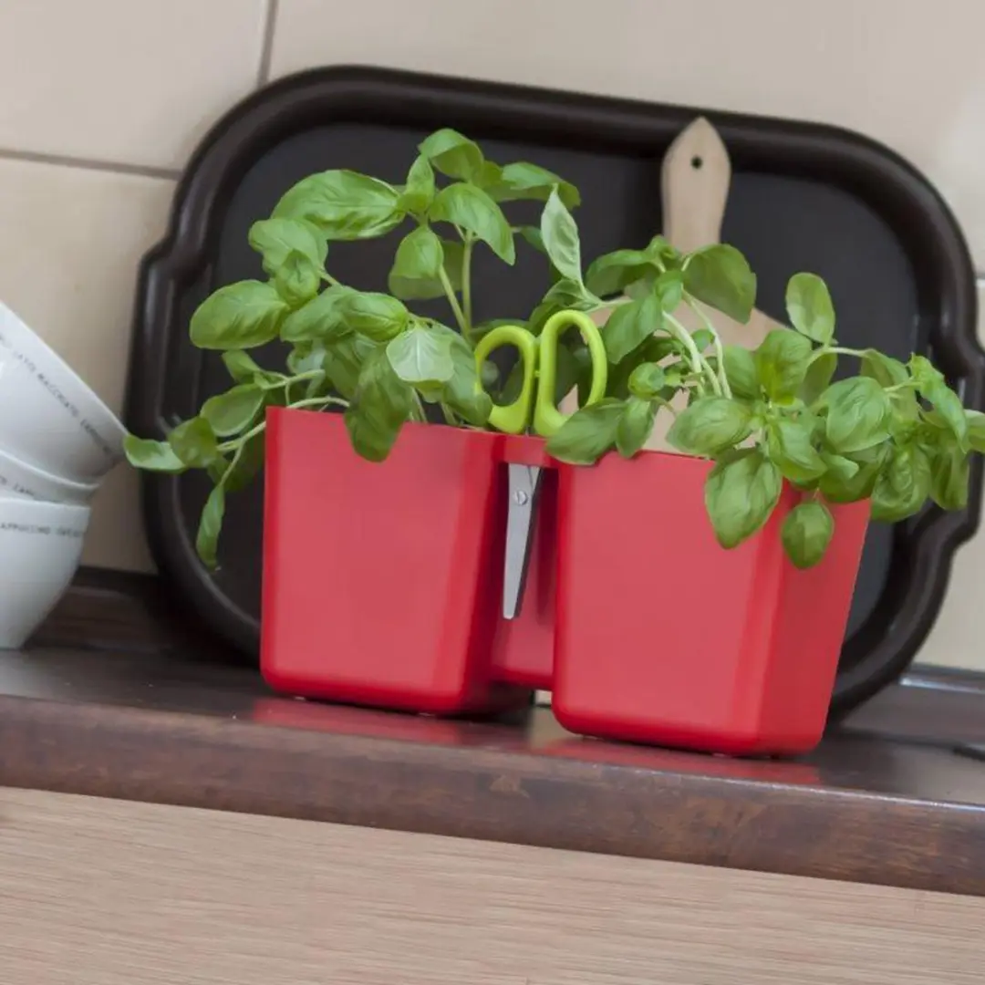 Prosperplast Twins Cube Kruidenpot - Koraalrood - afbeelding 6 van 6