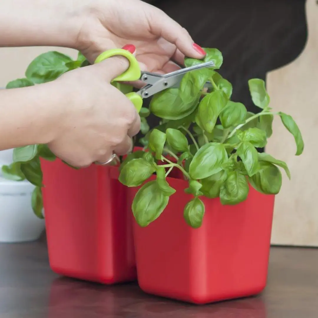 Prosperplast Twins Cube Kruidenpot - Koraalrood