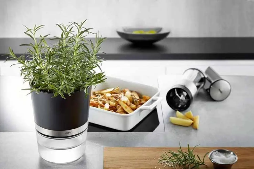GEFU BOTANICO Kruidenpot 14,3cm - Zelfwaterend - Zwart