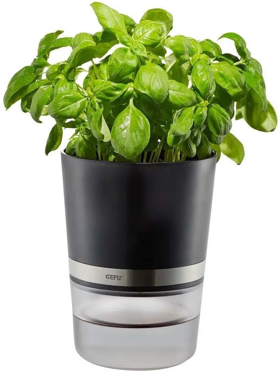 GEFU BOTANICO Kruidenpot 14,3cm