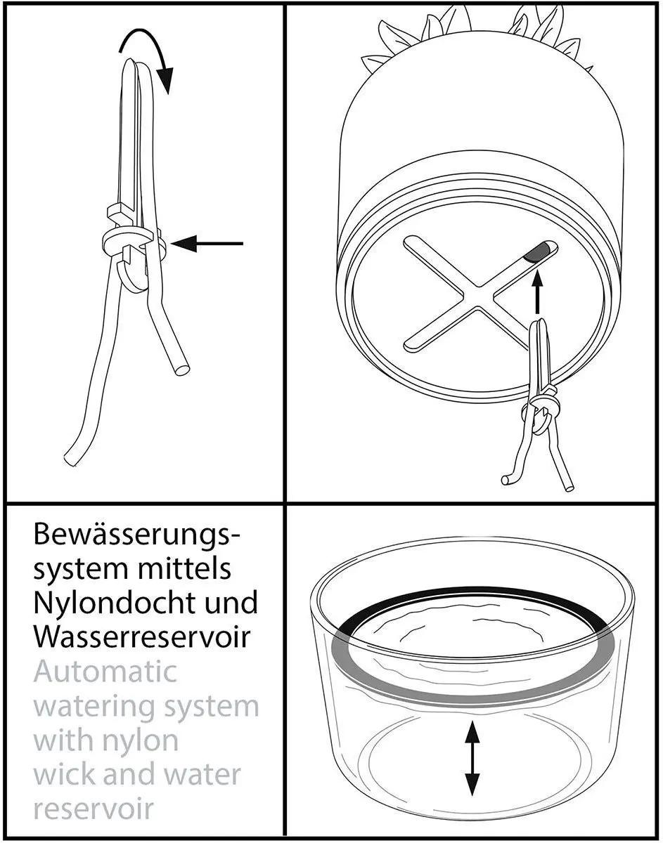 GEFU BOTANICO Kruidenpot 14,3cm - Zelfwaterend - Zwart - afbeelding 6 van 6