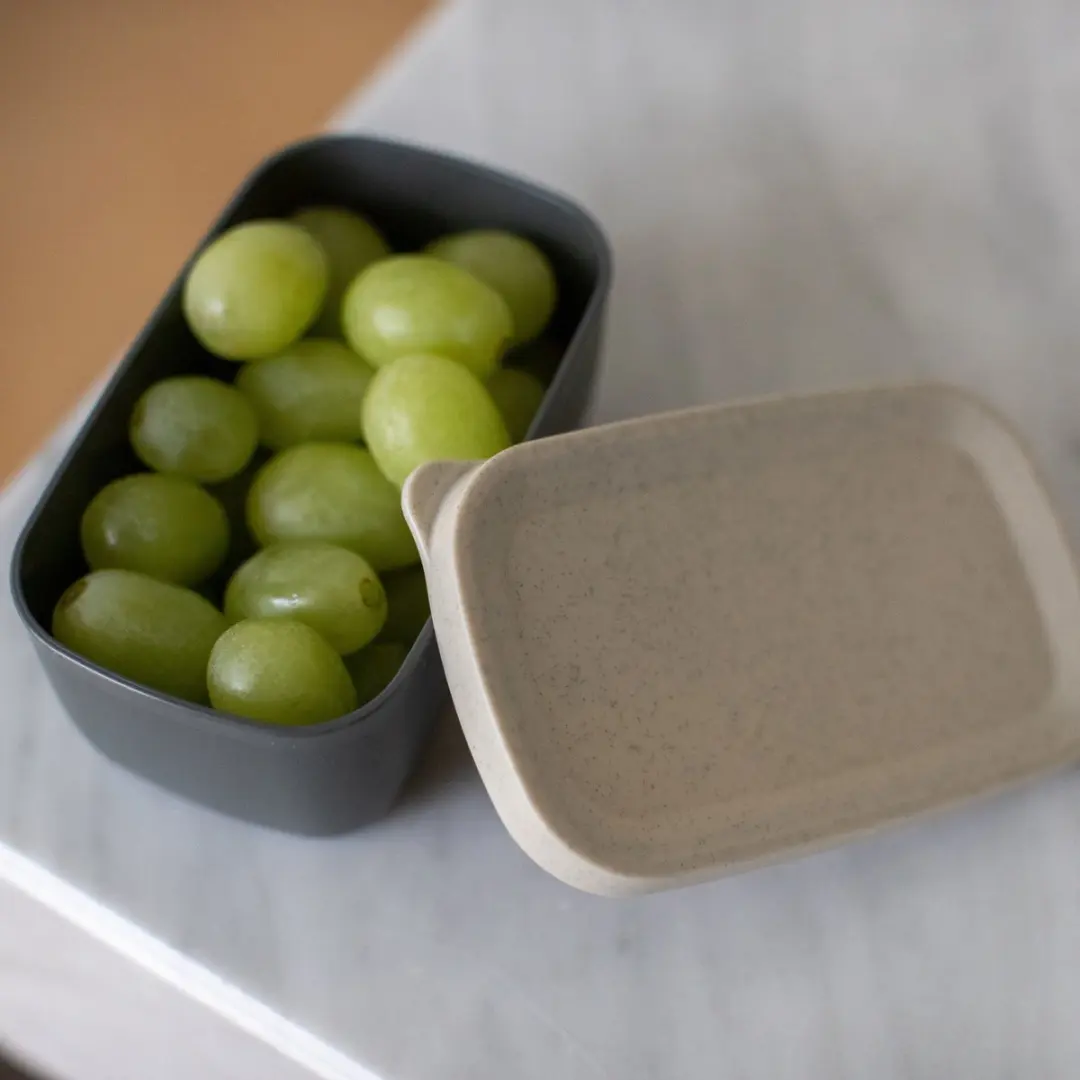 Koziol Candy S Lunchbox - 0,5L - Grijs