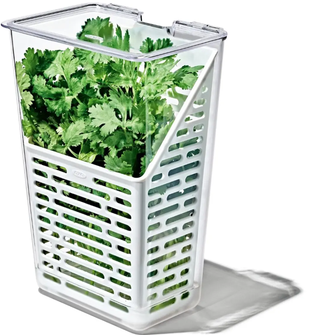 OXO Vershoudbox Kruiden